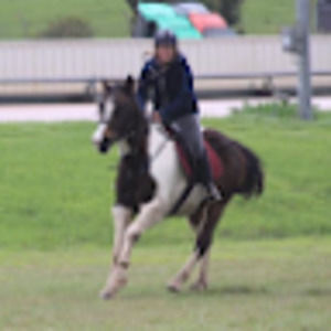 Meet your Posher, Teagan